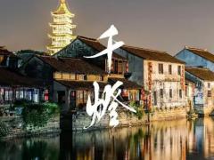 碧螺春品茗会