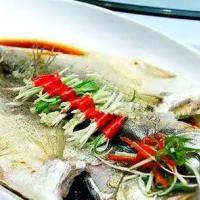 太湖白鱼